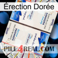 Érection Dorée kamagra1